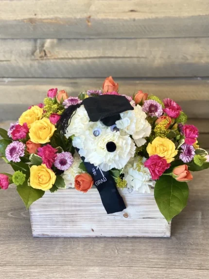 graduation doggy