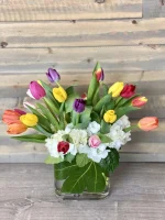 STUNNING TULIPS