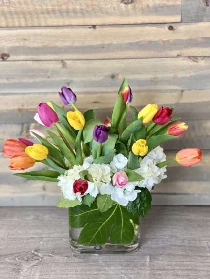 STUNNING TULIPS