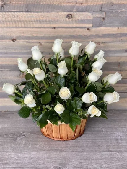 WHITE PARADISE BASKET OF ROSES