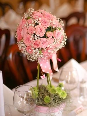premium pink roses