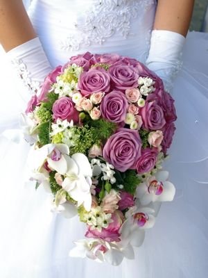 bride holding purple roses bouquet