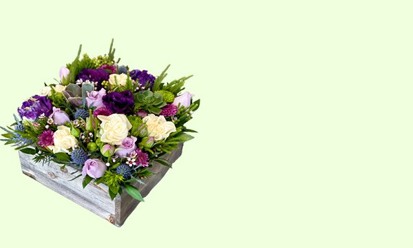 Boxed-Arrangements