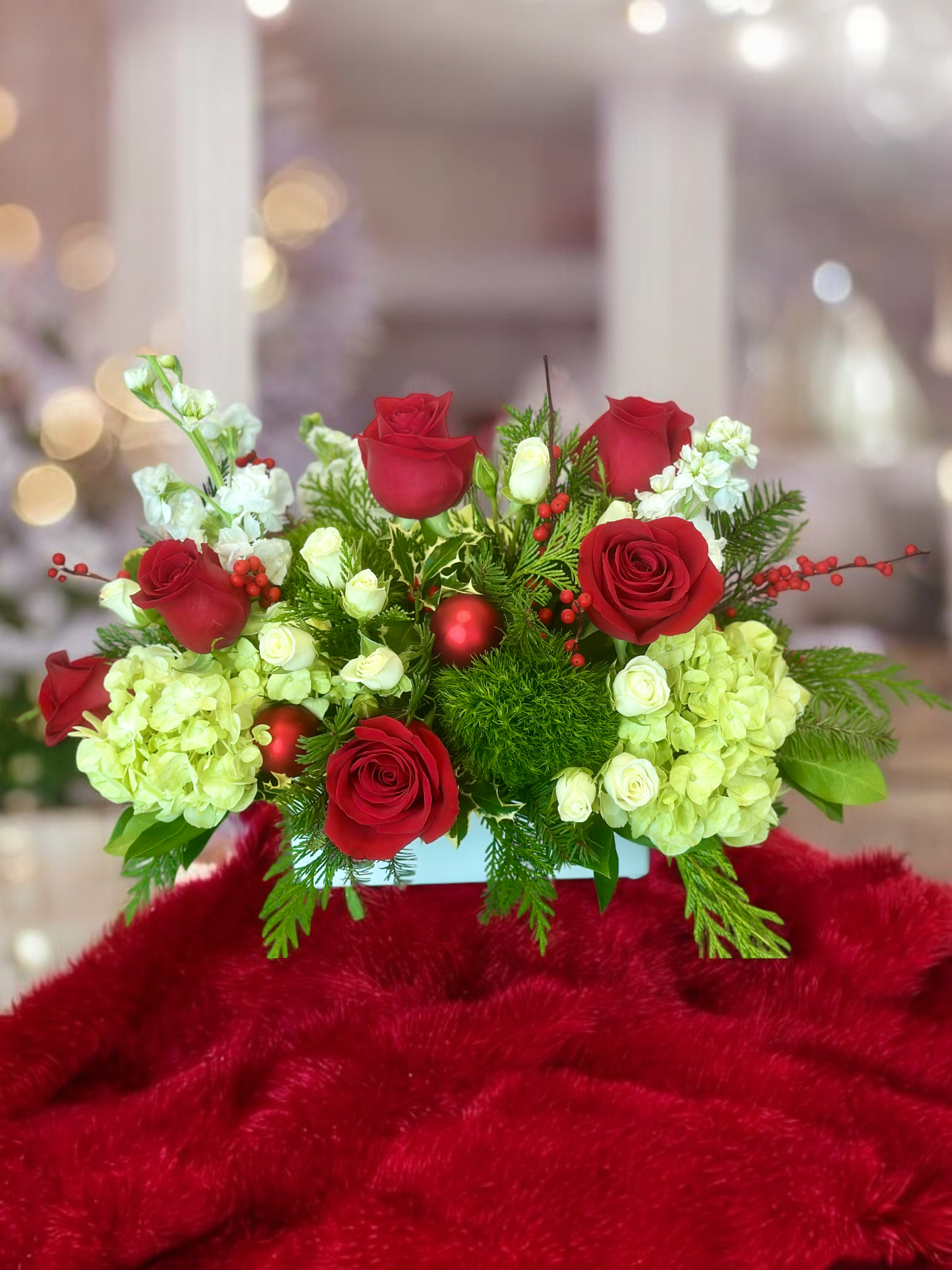 Photoroom_20241218_135324