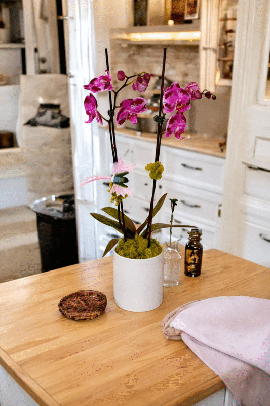 Mother’s Day double orchid arrangement with succulents in a modern white pot on a kitchen table