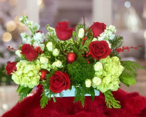 Photoroom_20241218_135324