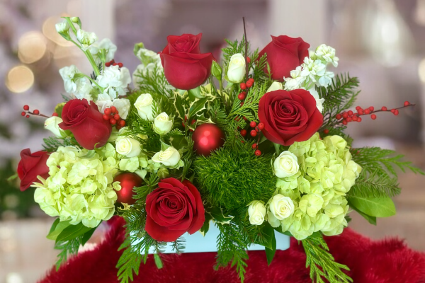 Photoroom_20241218_135324