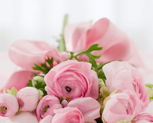 breakfast in bed